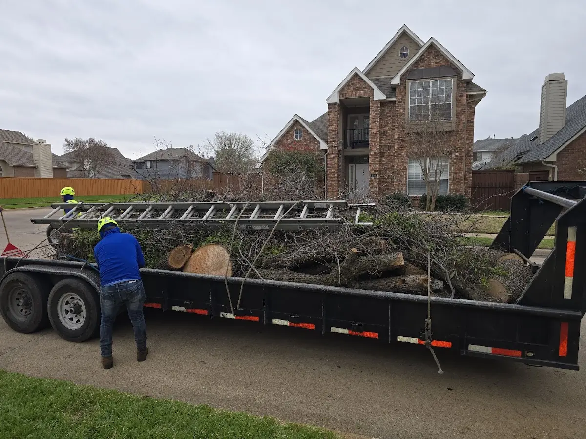 Expert Lot Clearing with proper safety equipment in Superior